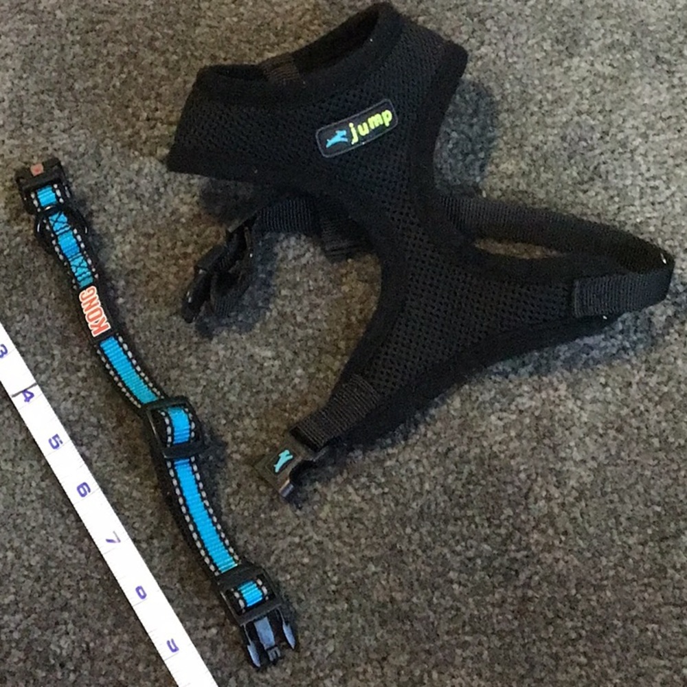 Pet bundle xsmall jump and Kong